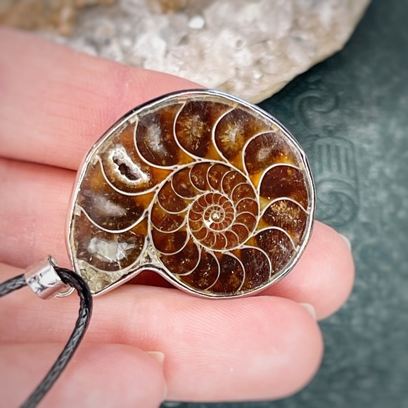 Ammonite Pendent Necklace - Picture 7 of 8